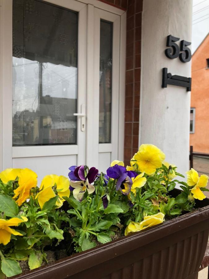 Krin Apartman 수보티차 외부 사진
